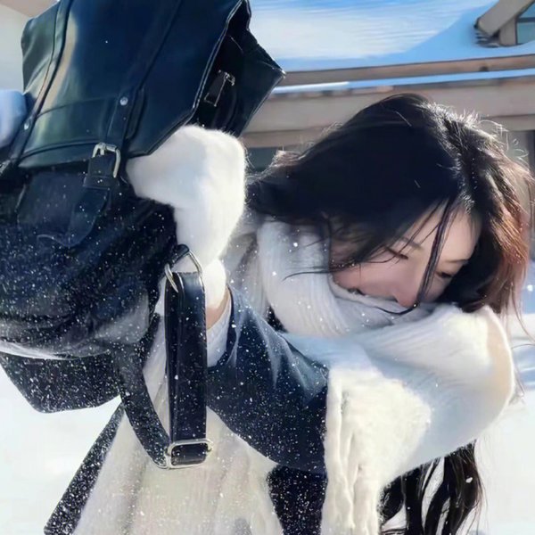 完美革命海报